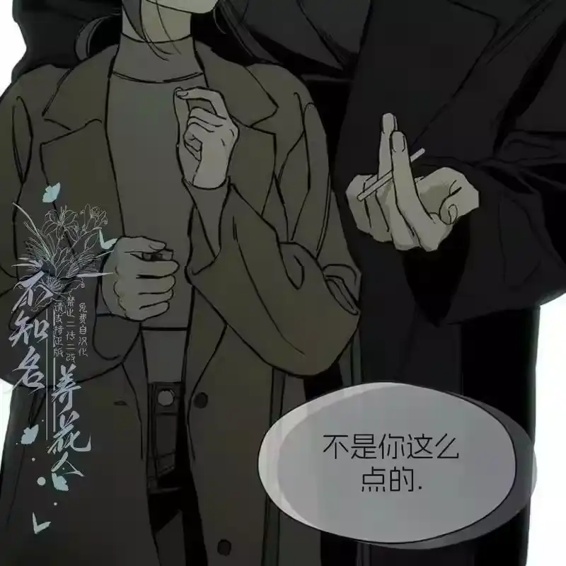 第233页
