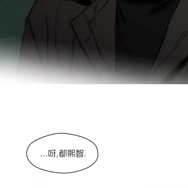 第224页