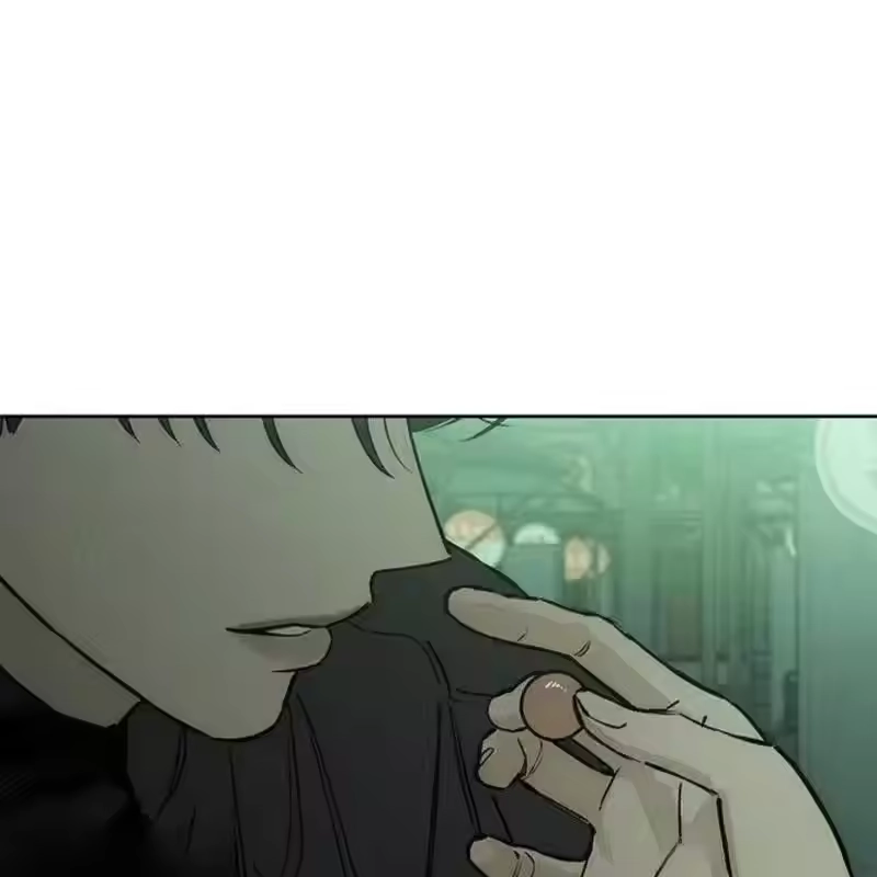 第204页