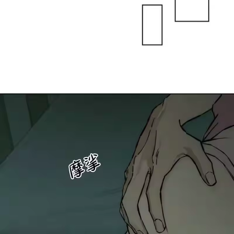 第185页