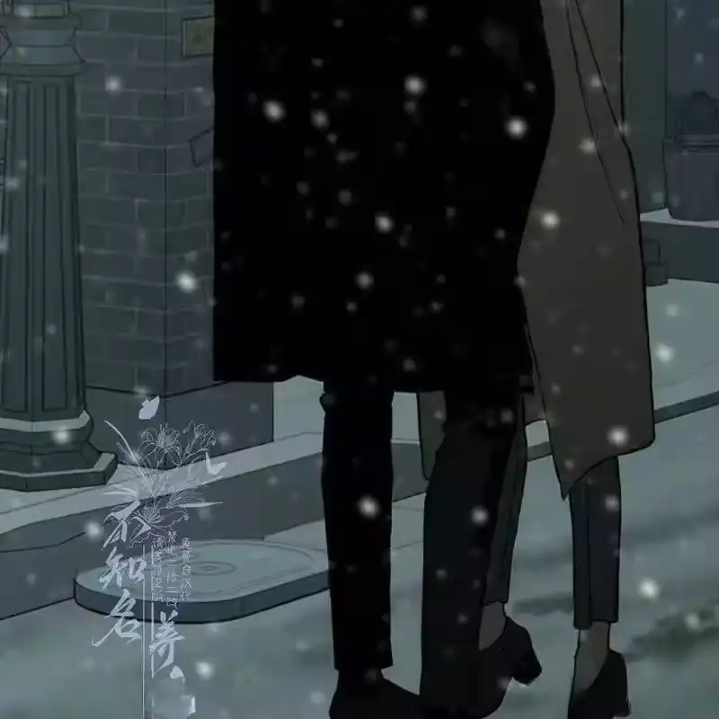 第204页