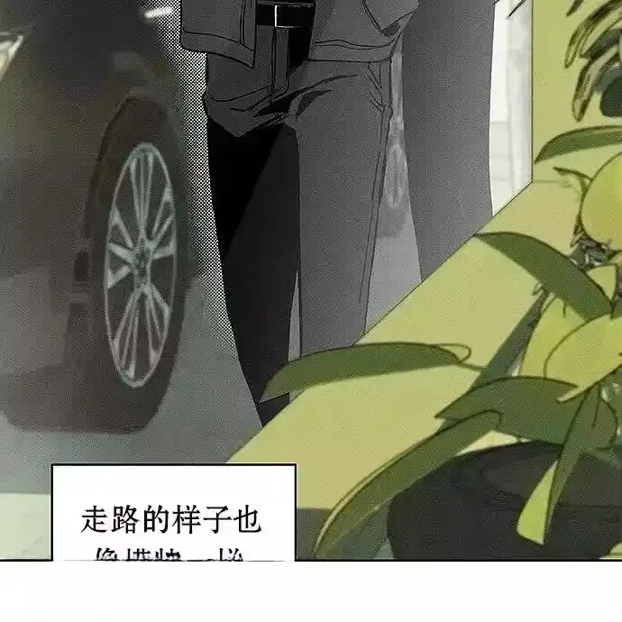 第191页