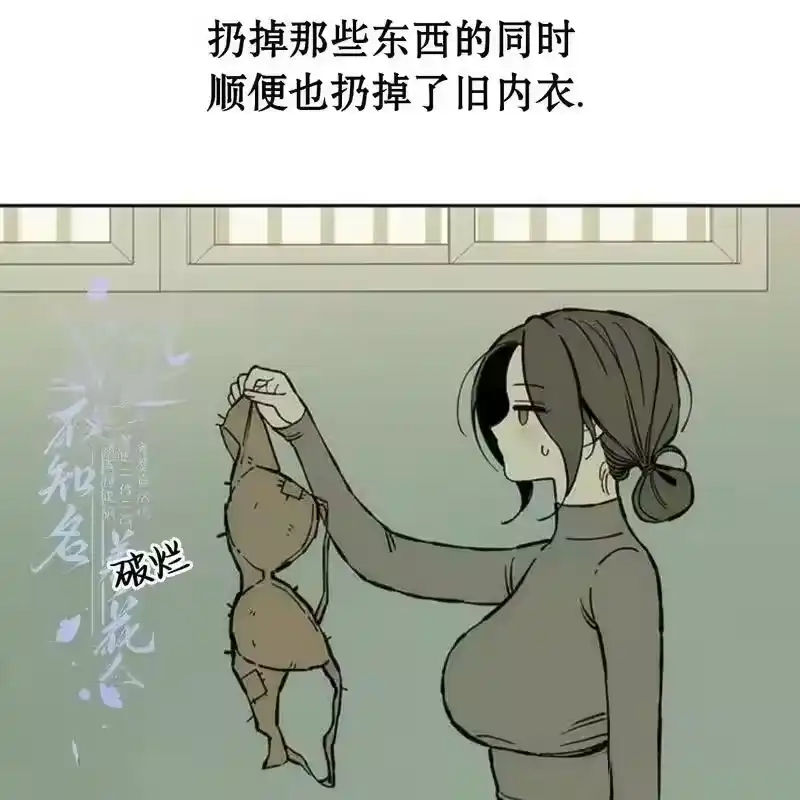 第204页