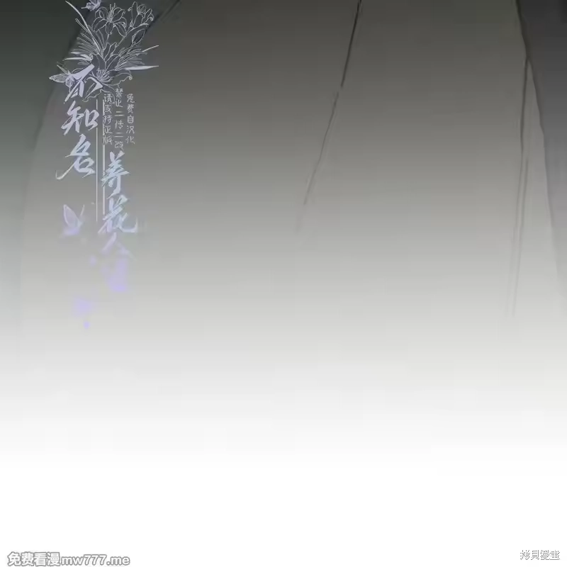 第229页