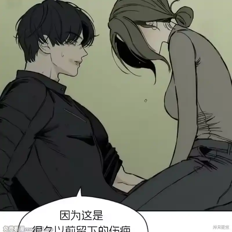 第184页