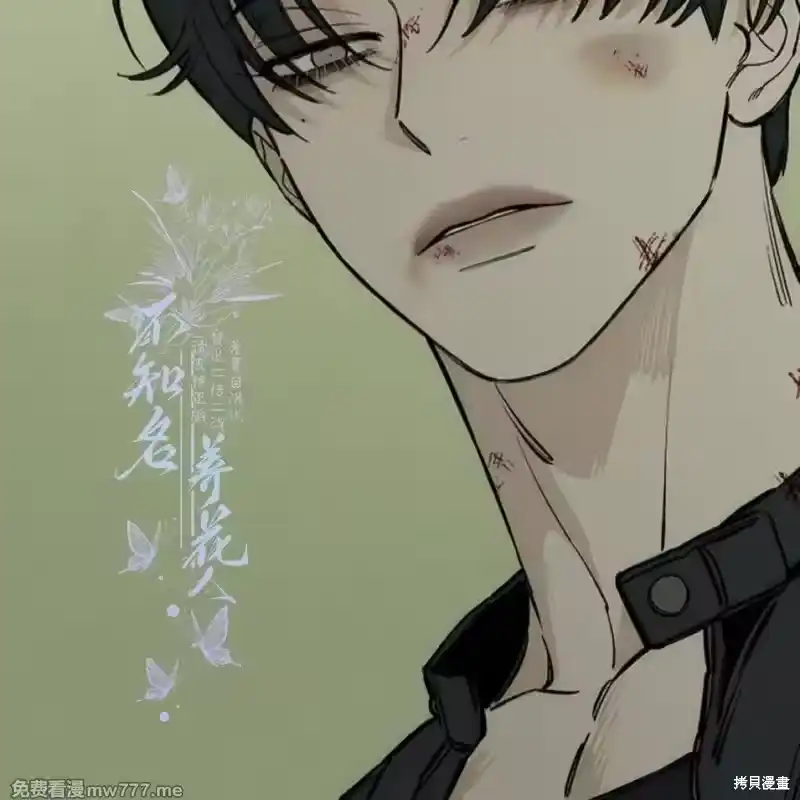 第213页