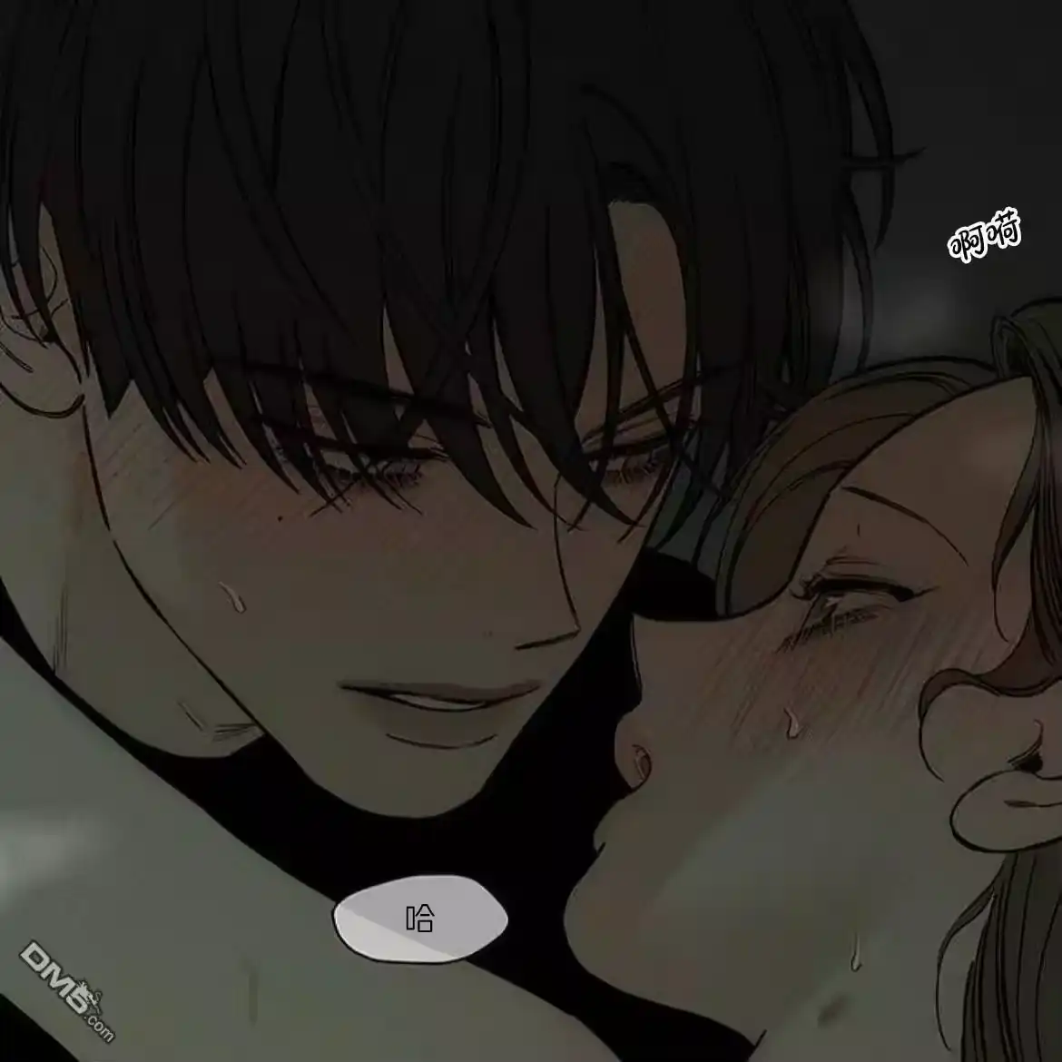 第52页