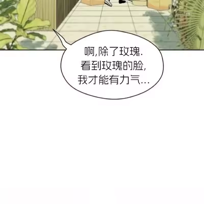 第215页
