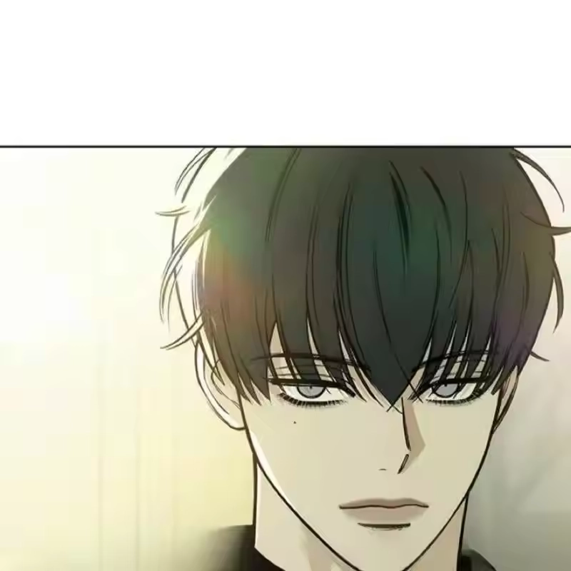 第221页