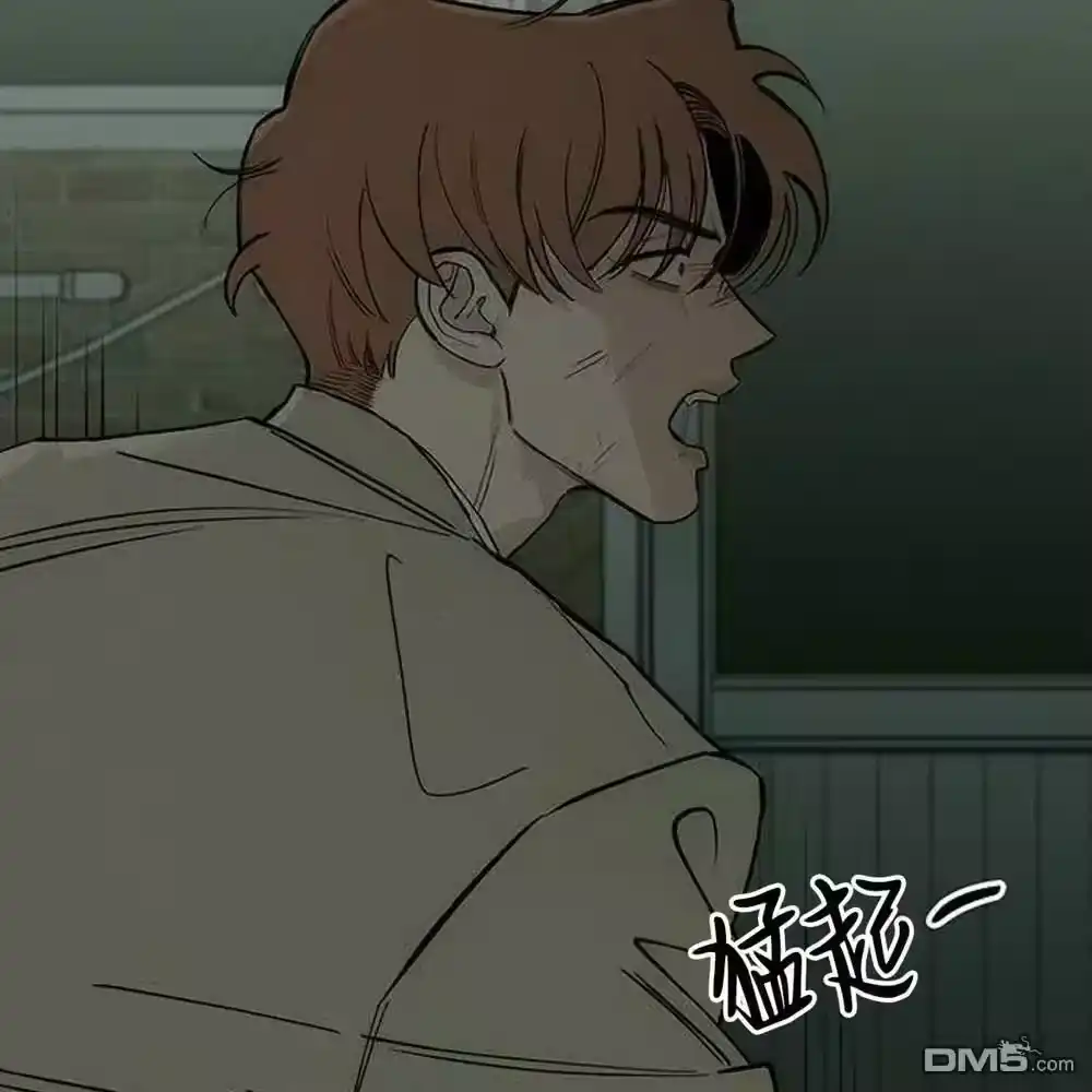 第201页