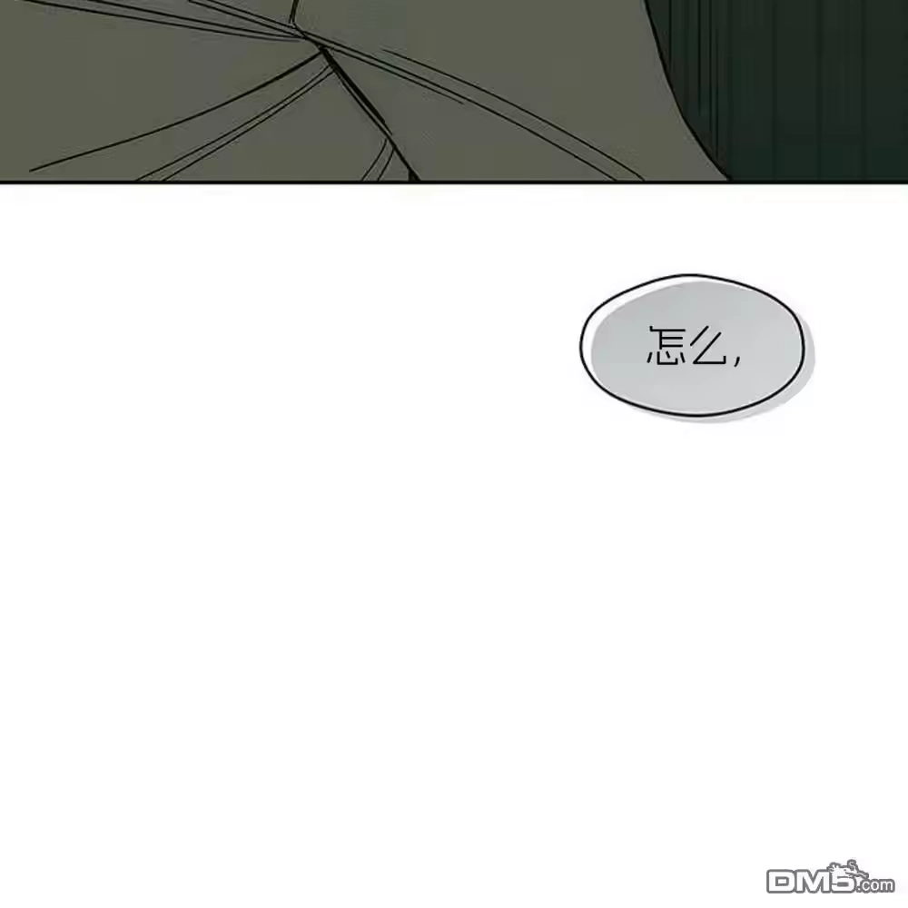 第202页