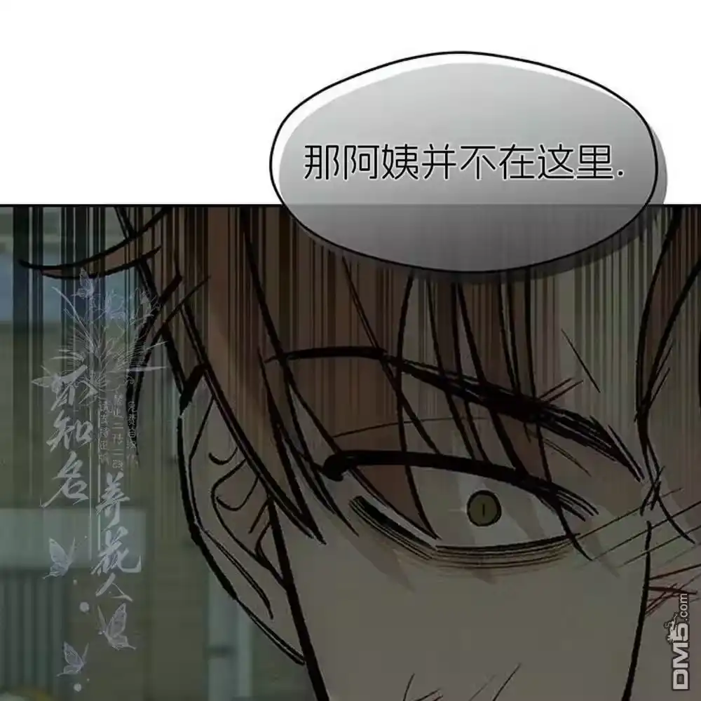 第213页