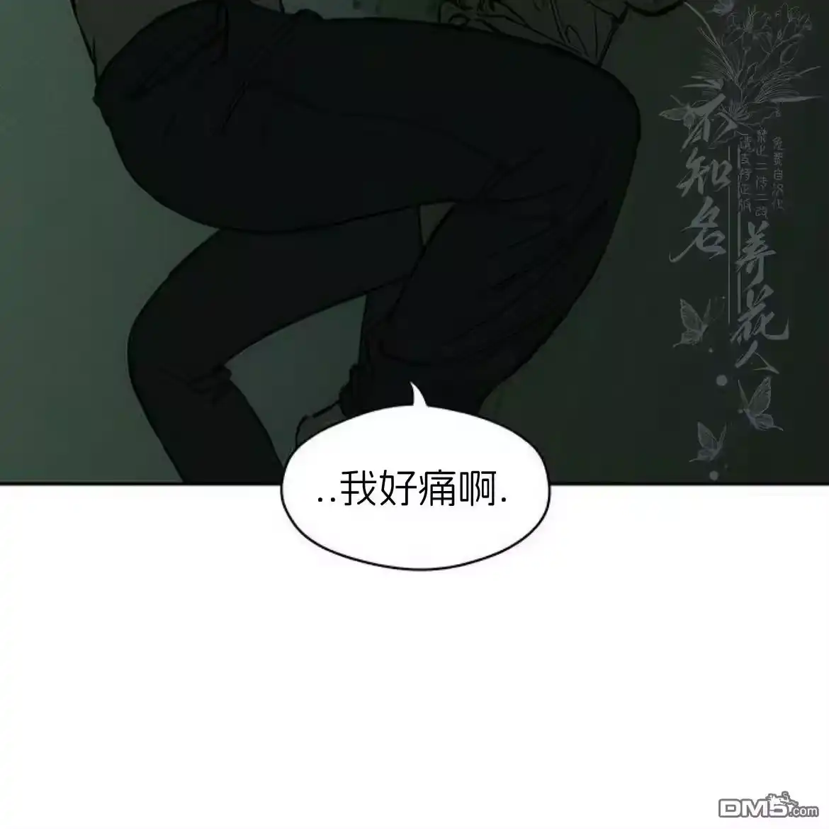 第207页