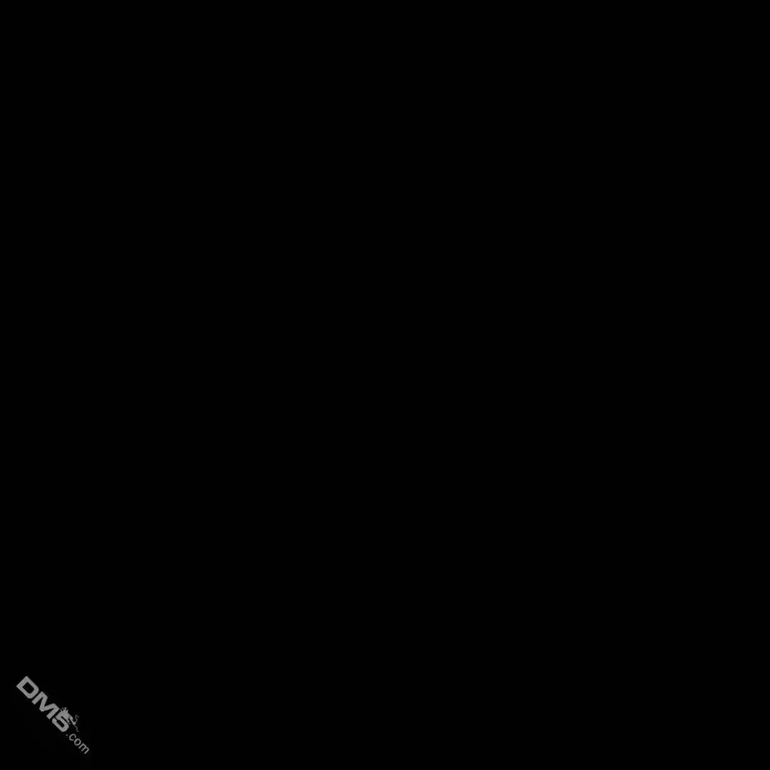 第204页