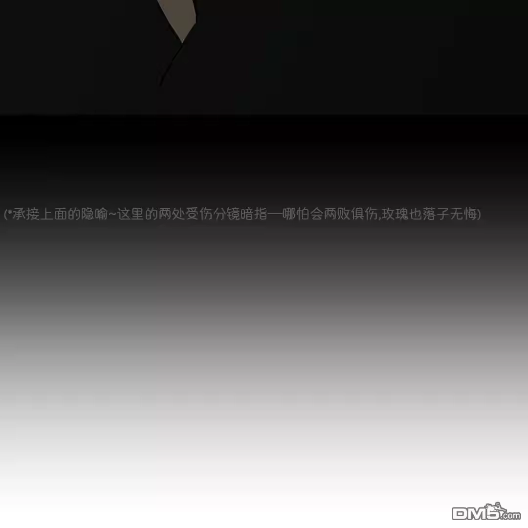 第219页