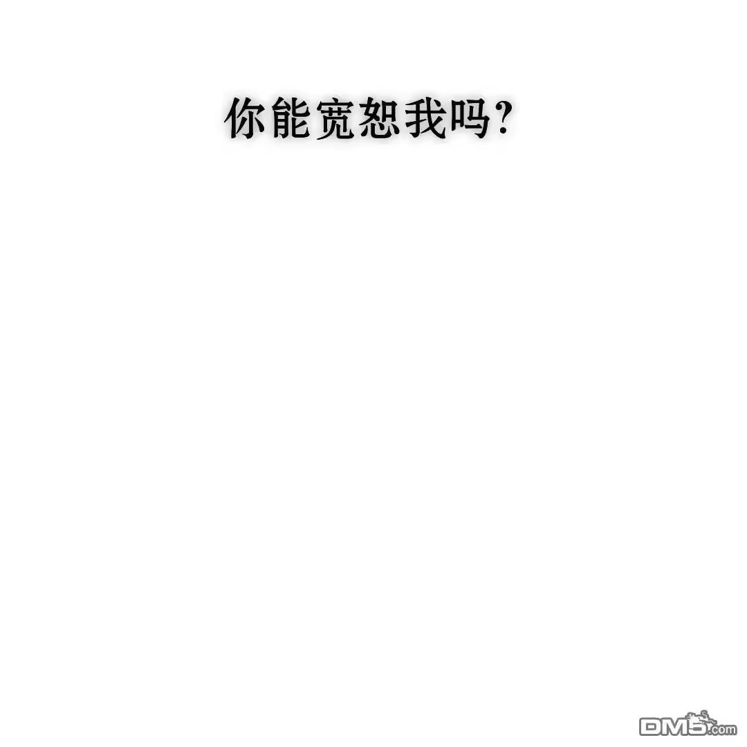 第223页