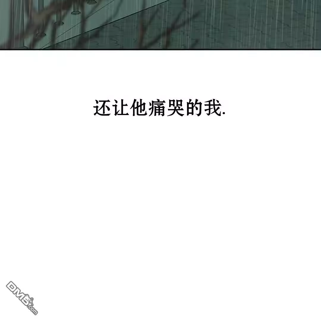 第229页