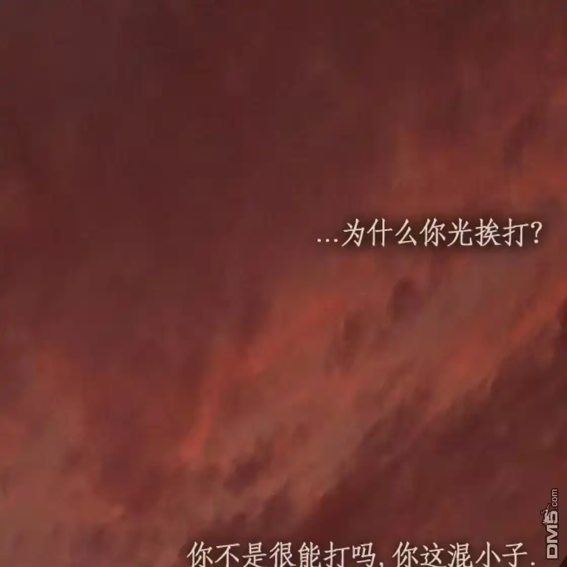 第186页