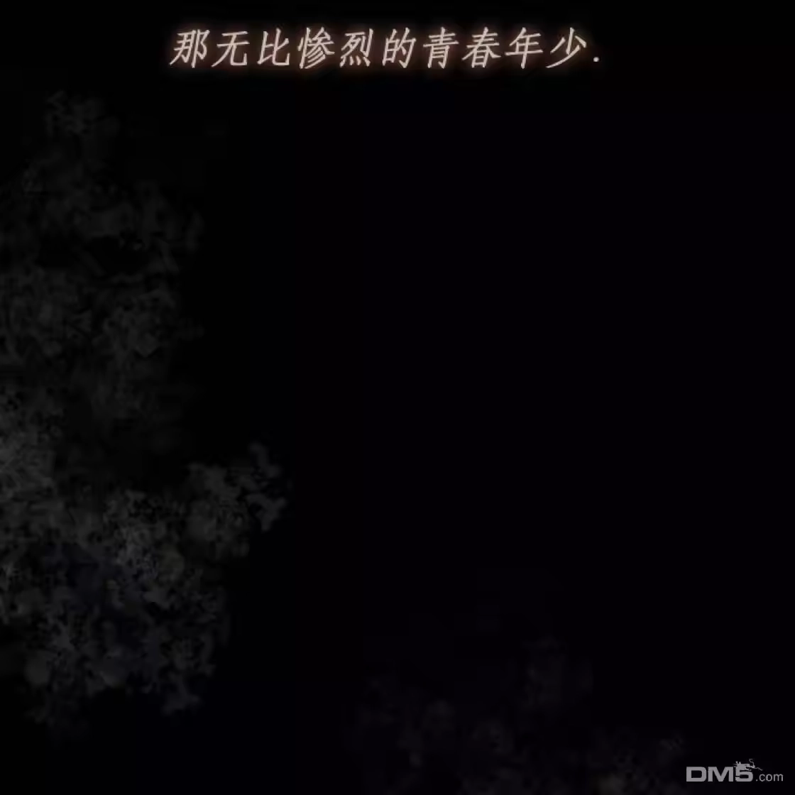 第219页