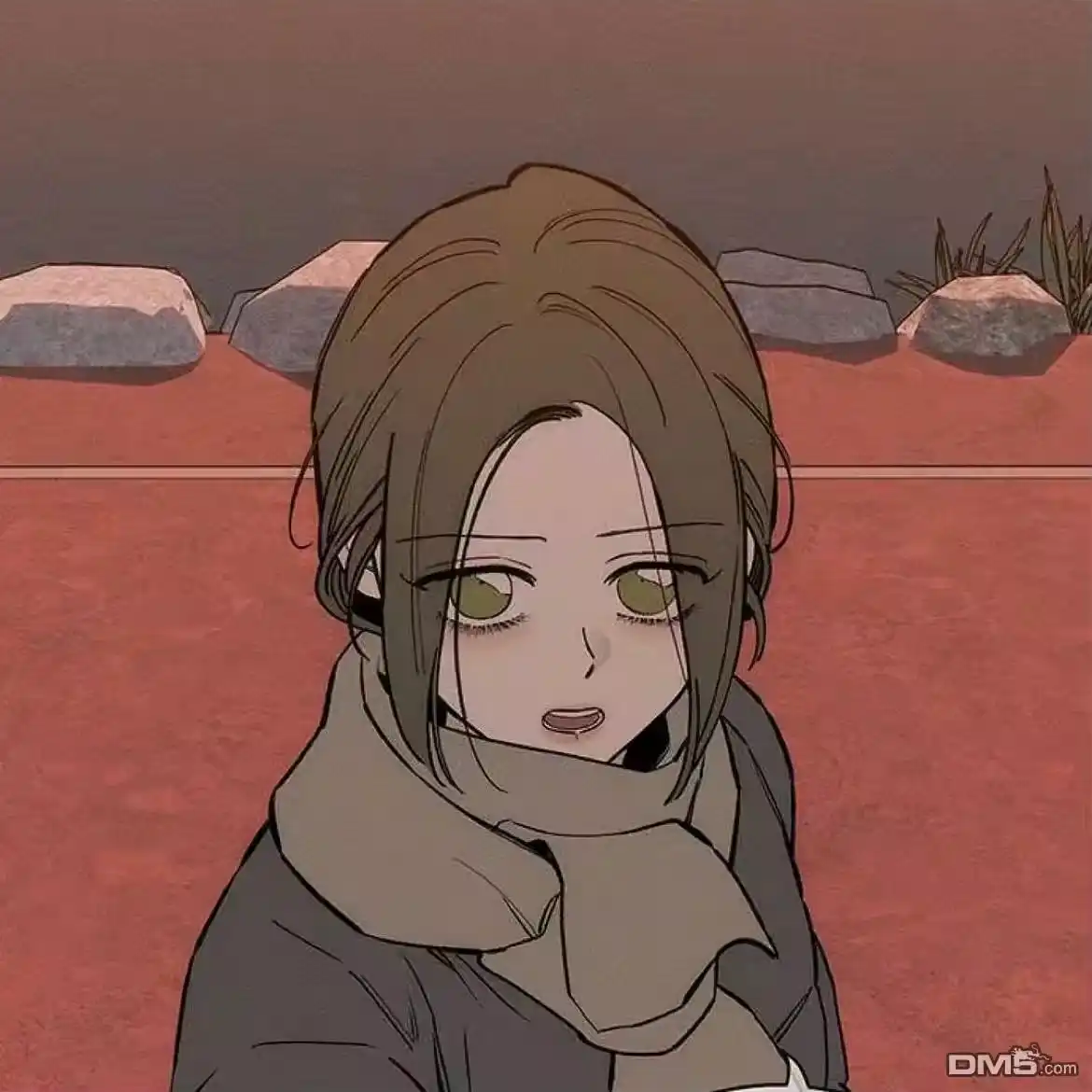 第52页