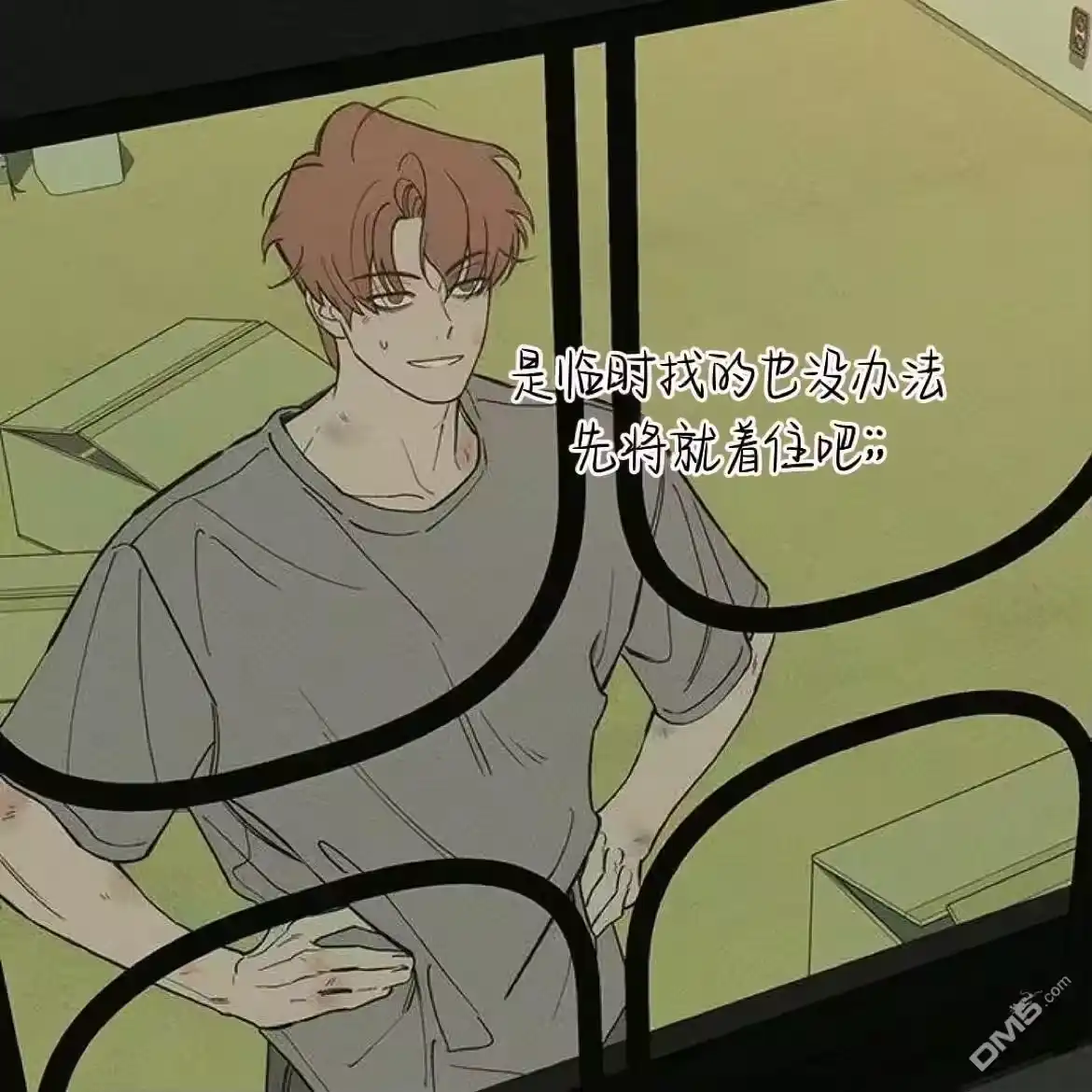第68页