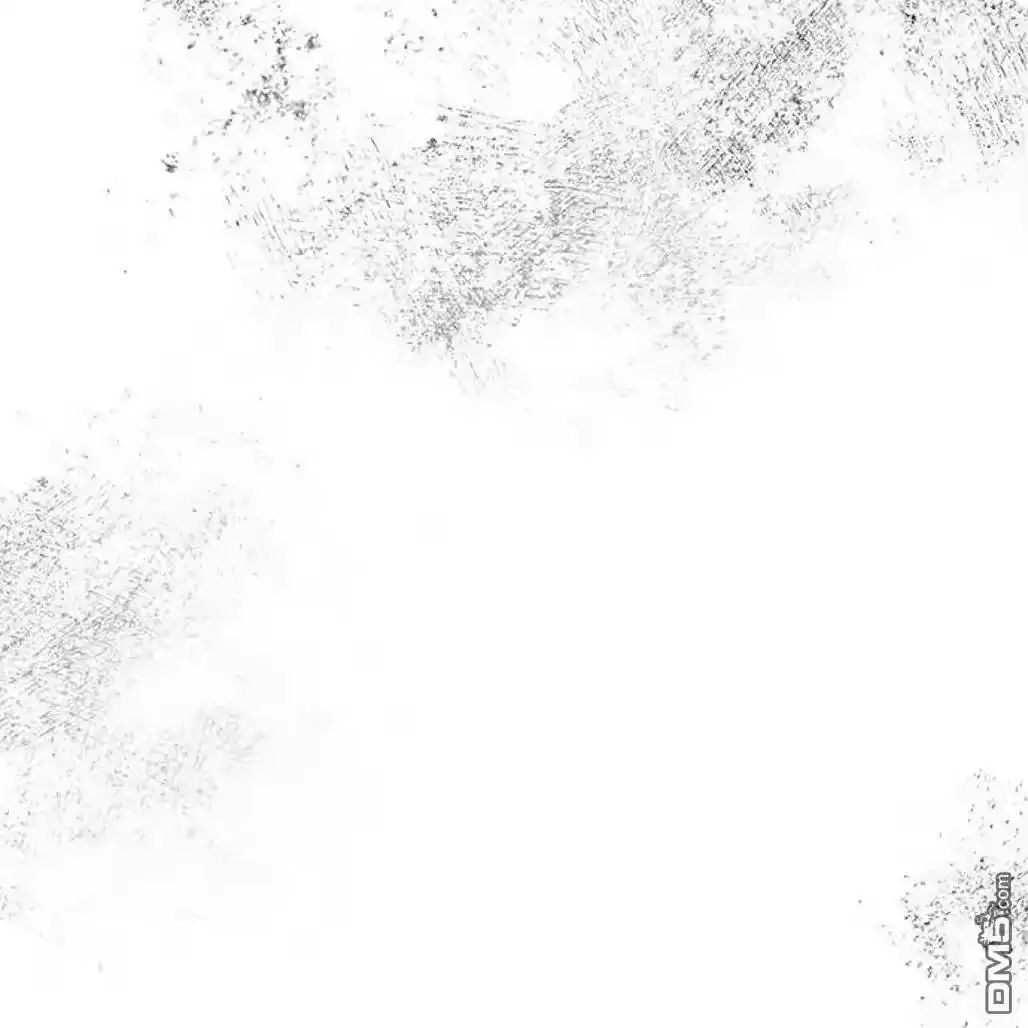 第204页