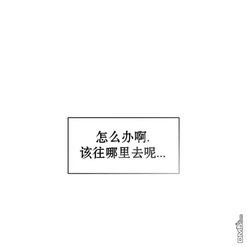 第224页