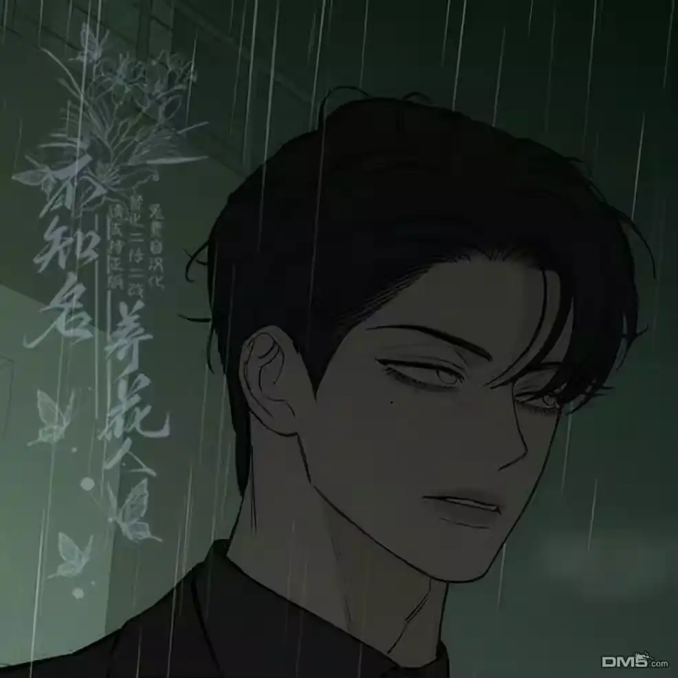 第204页