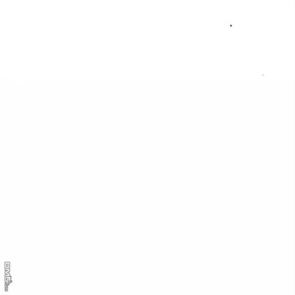 第207页