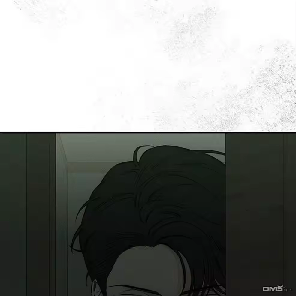 第217页