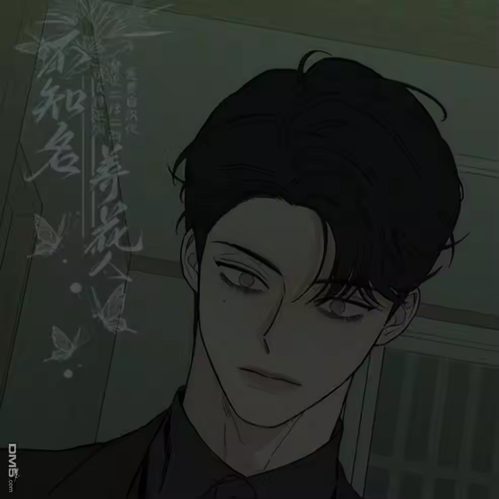 第223页
