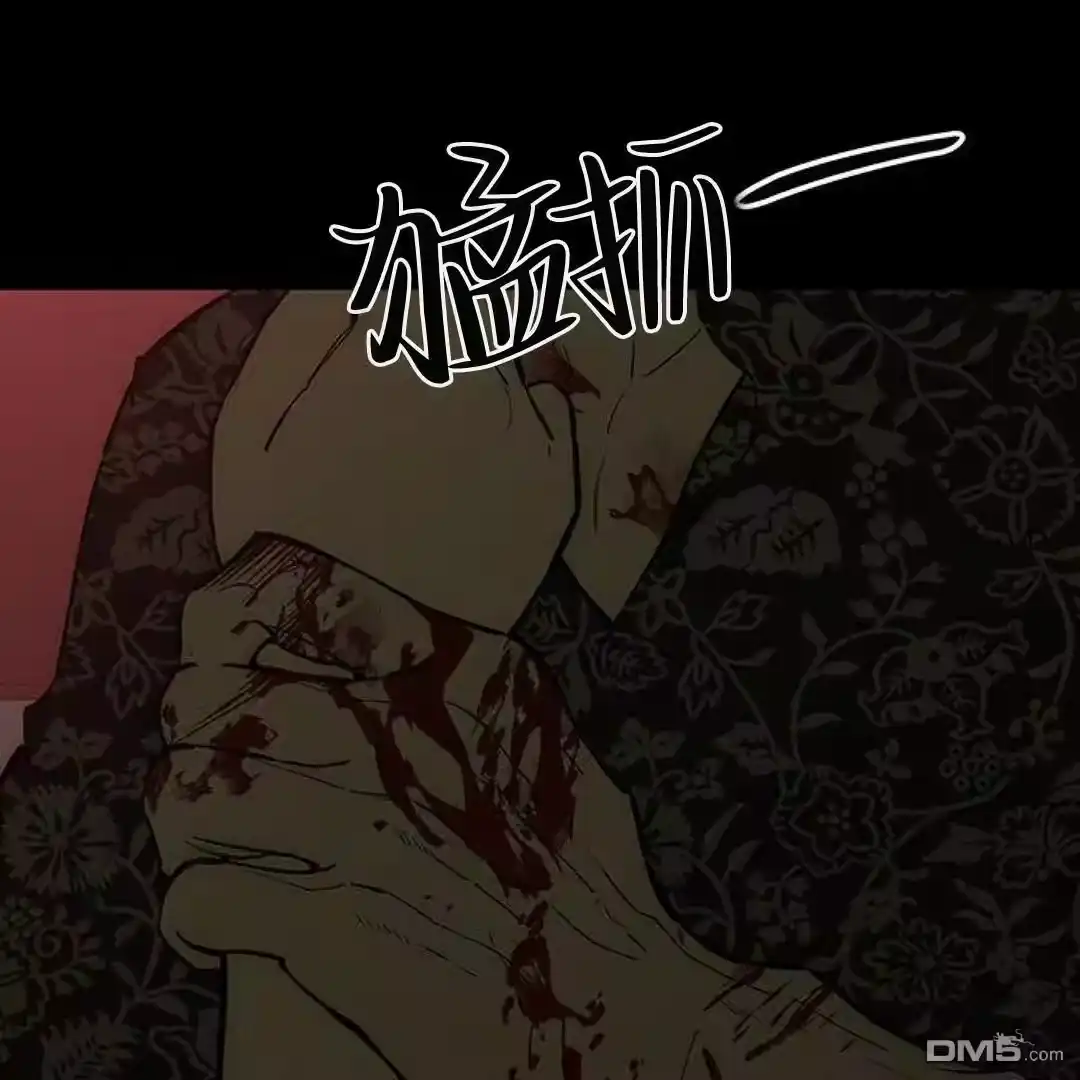 第206页