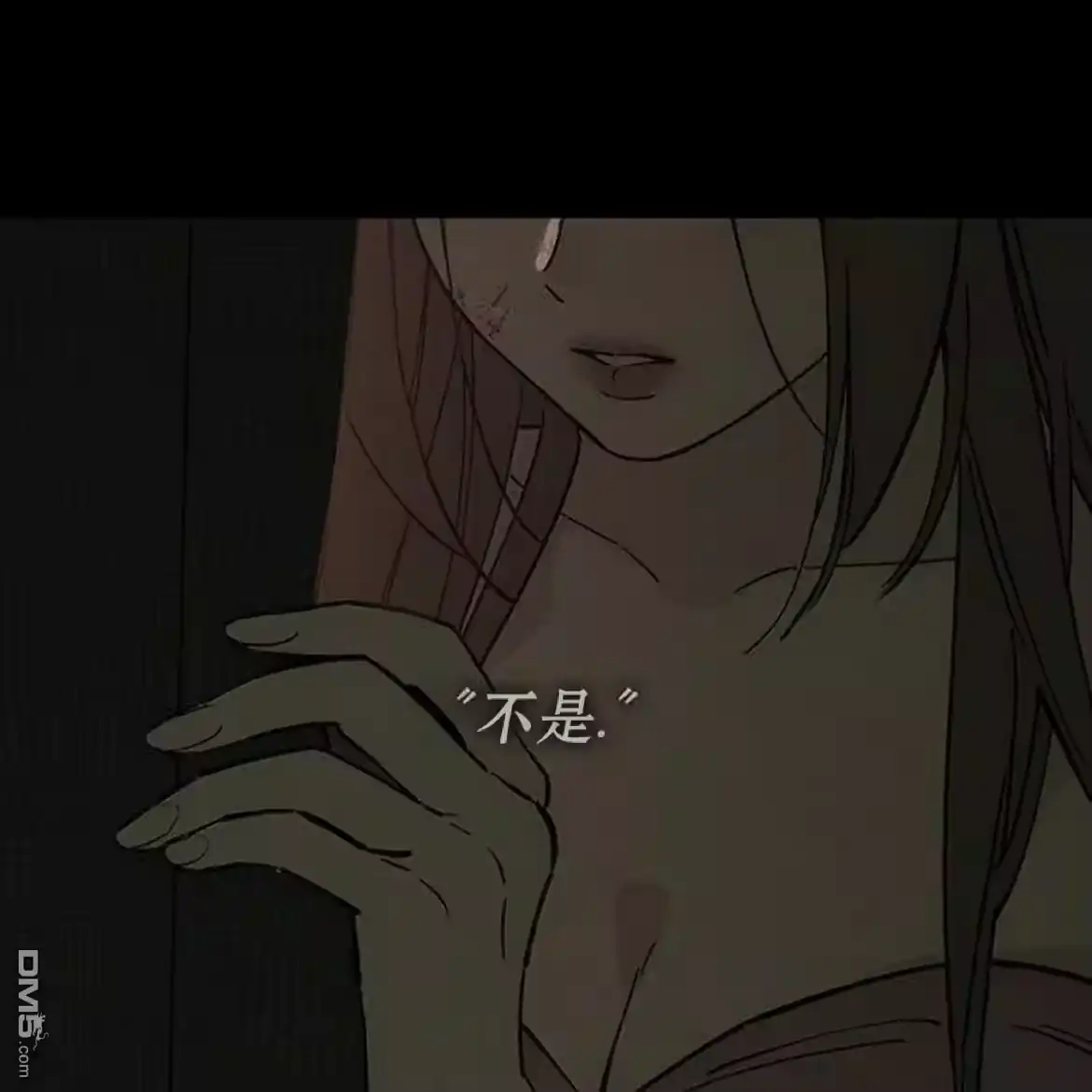第223页