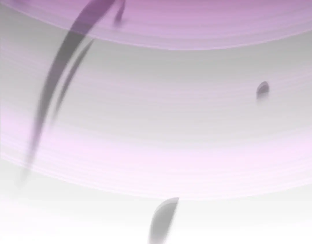 第217页