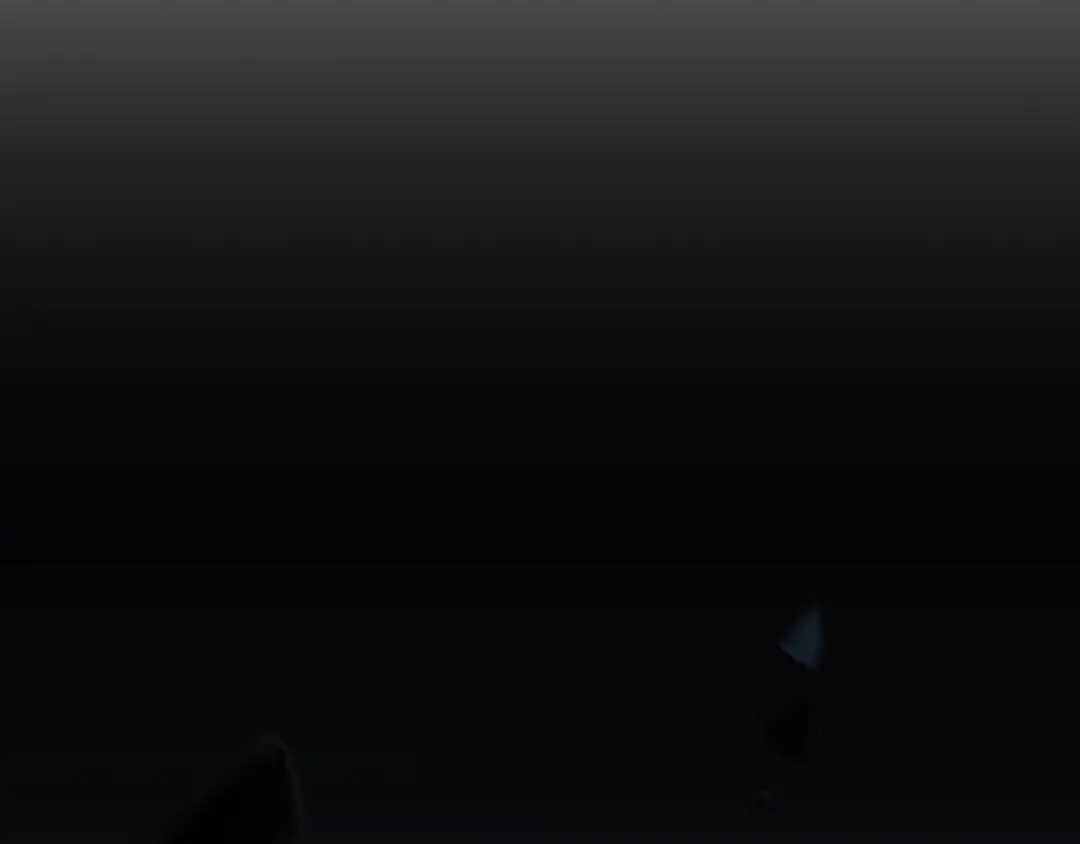 第239页