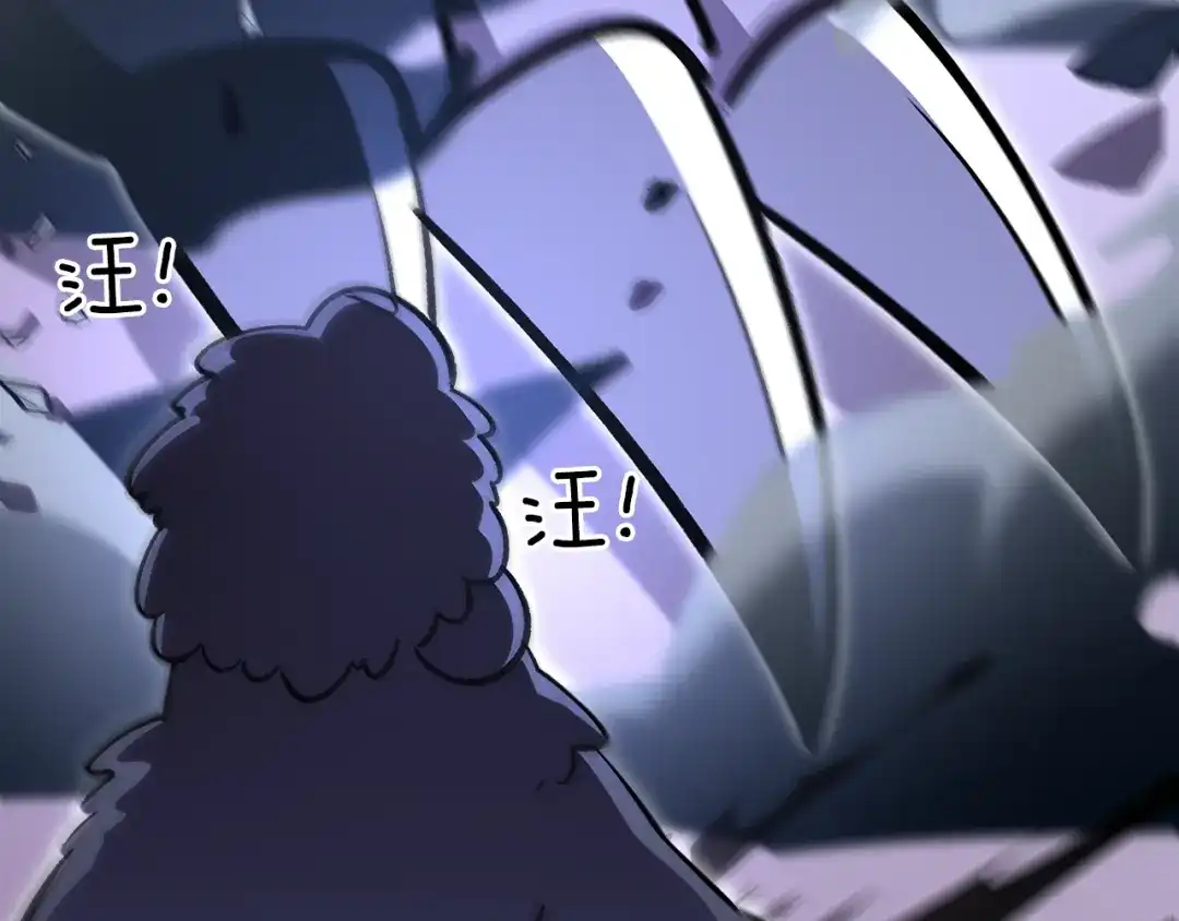 第245页