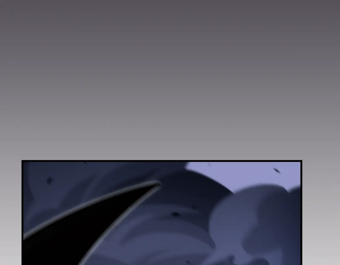 第247页