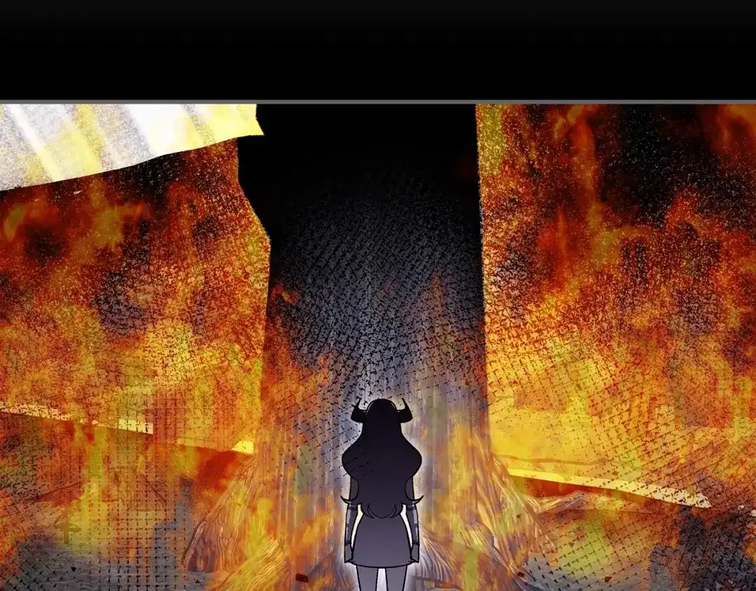 第215页