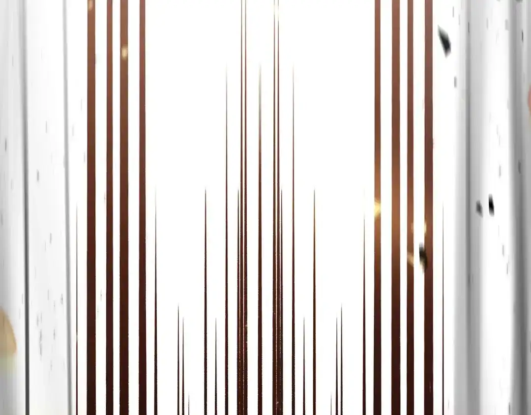 第233页