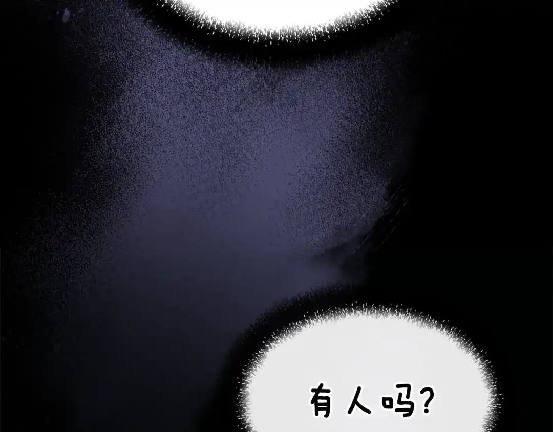 第217页