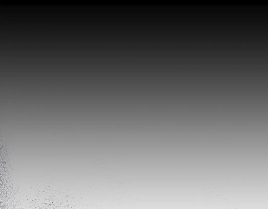 第231页
