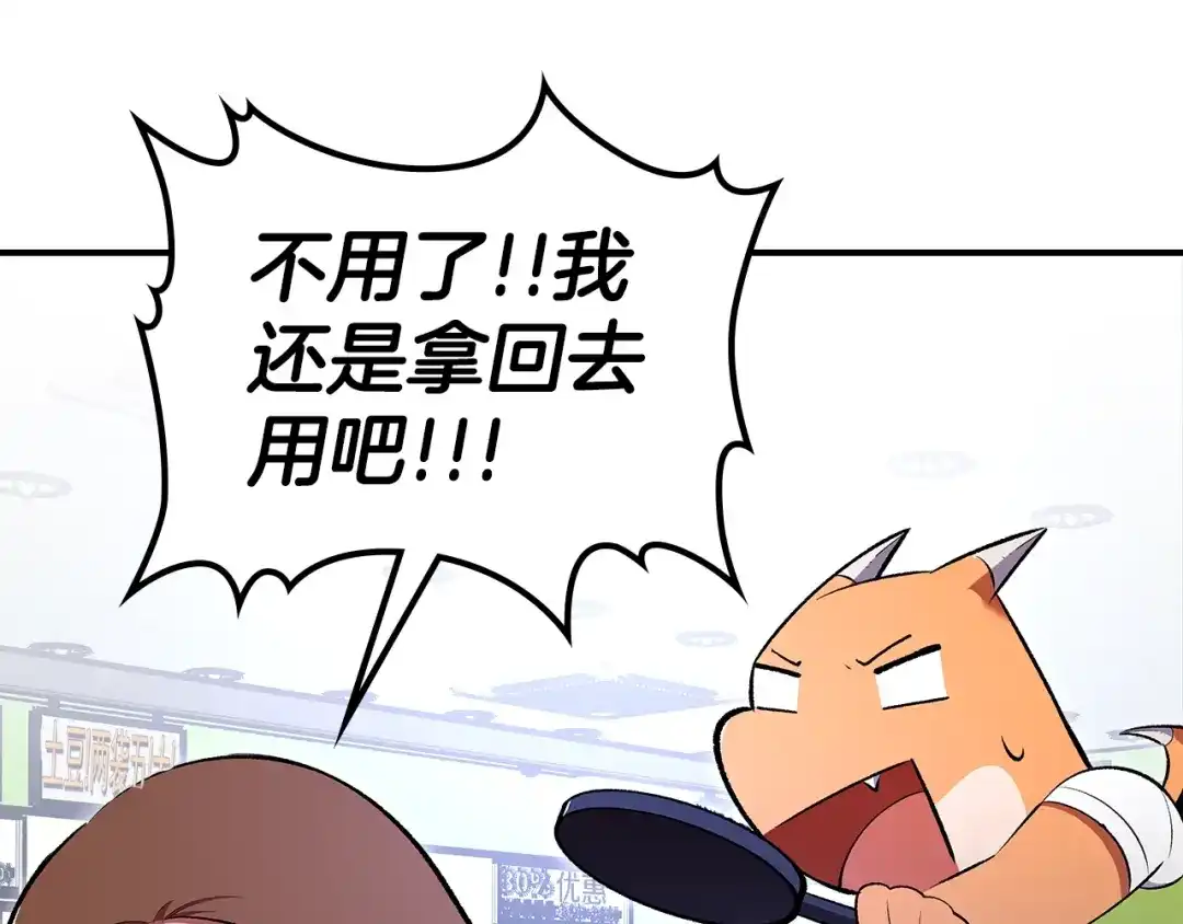 第204页