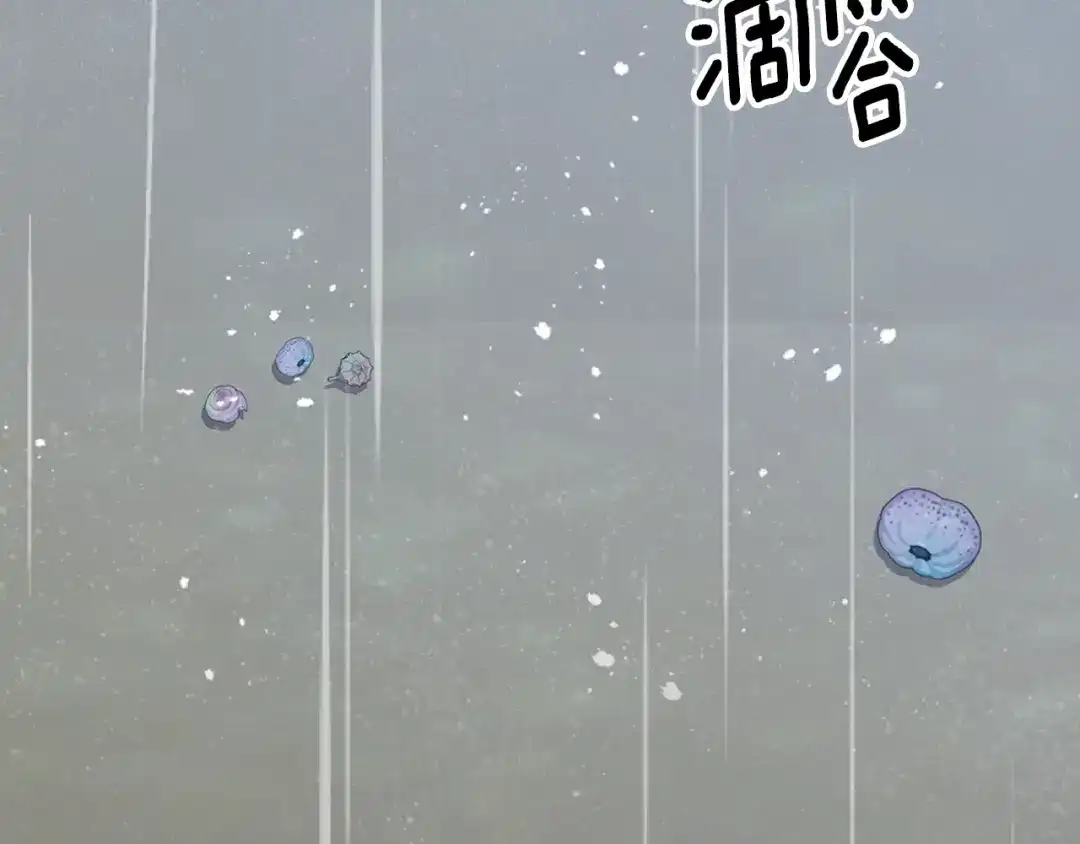 第248页