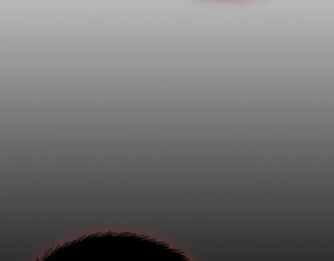 第229页