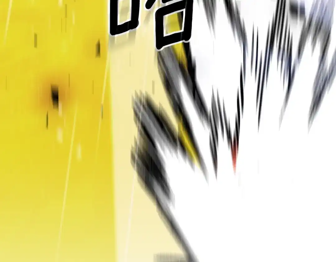 第215页
