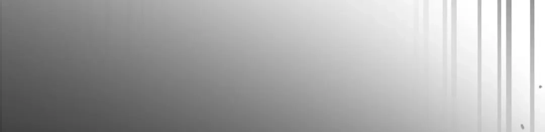 第229页