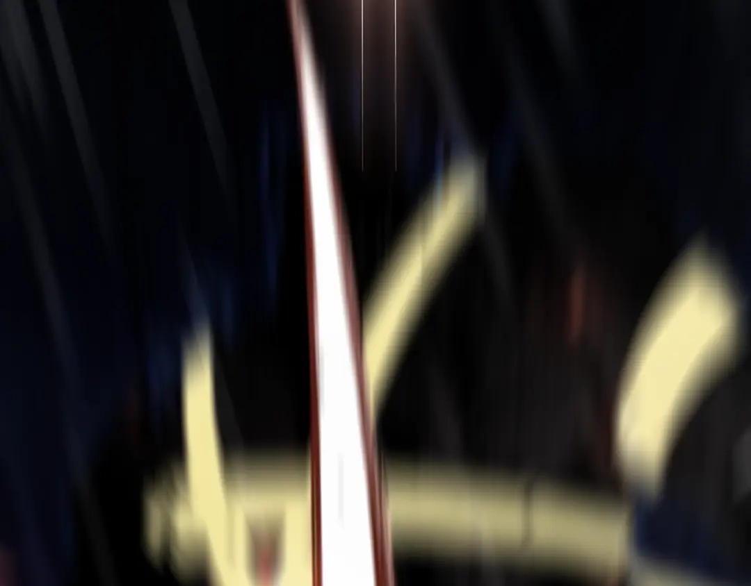 第231页