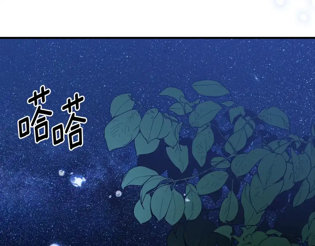 第246页