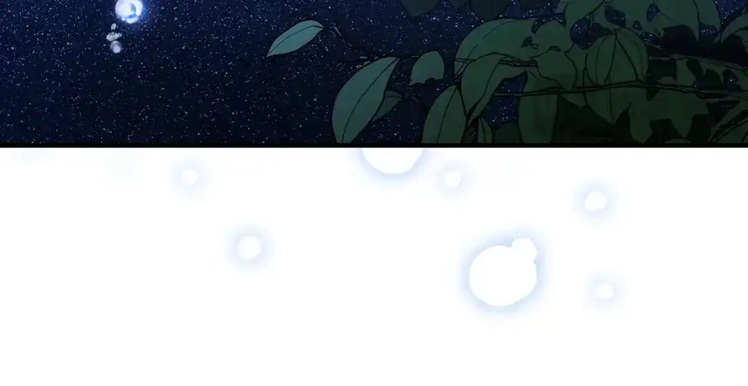 第247页