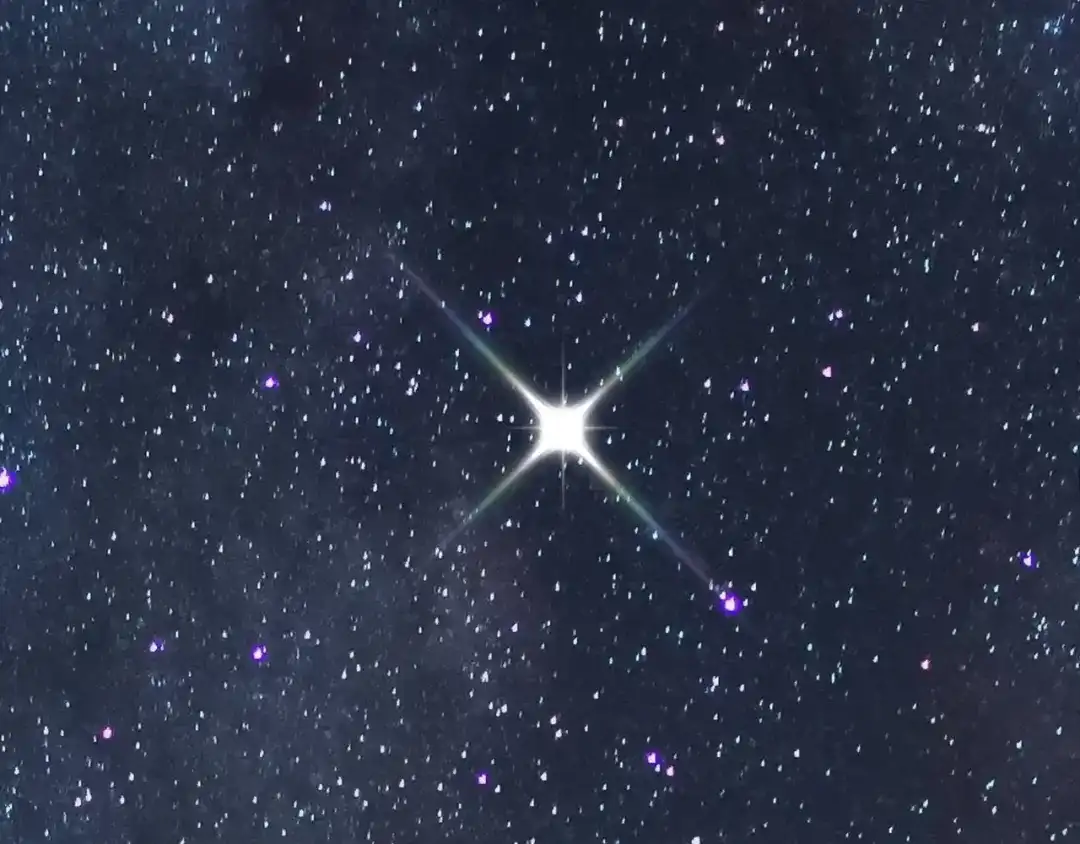 第253页